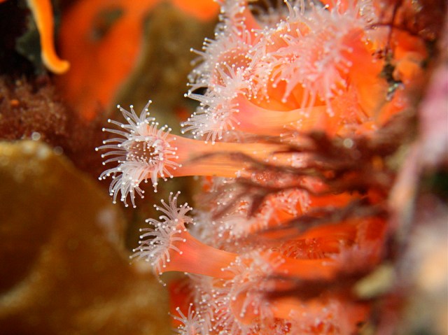 3395717381_112ffd5d87_b-2