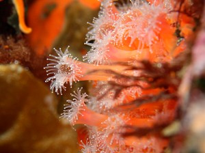 3395717381_112ffd5d87_b-2