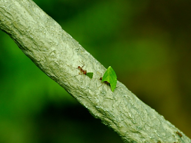 3003360666_7be42e475a_b