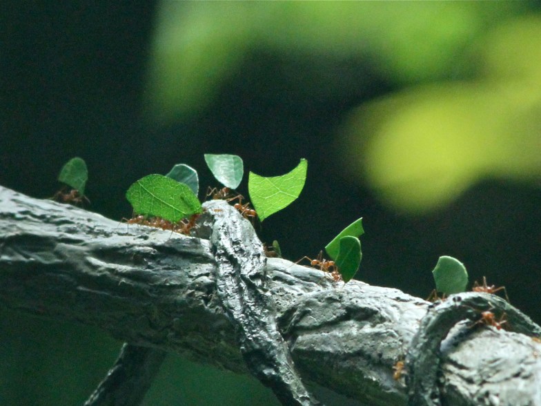 4471989519_93ab359108_o