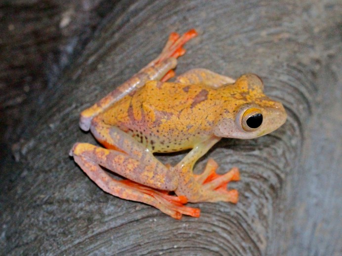 5170277207_42b048bdfe_b