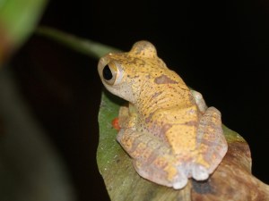 5170277417_17153bc773_b