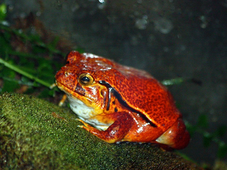 3192744135_d56b668f32_b