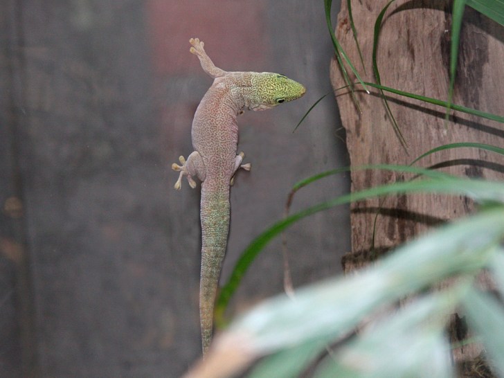 3268112303_e60d08c407_b