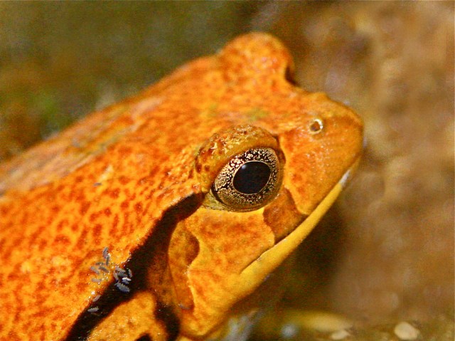 3284963093_d90c68f8ef_b