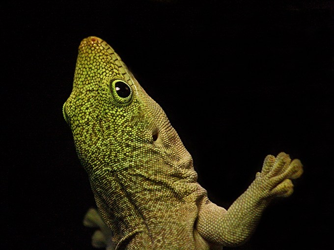 3496930709_f260501cc1_b