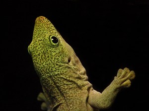 3496930709_f260501cc1_b