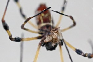 9129006757_d402137e70_h