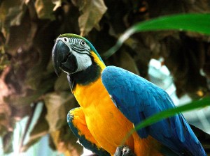 3775282165_df039aa985_b