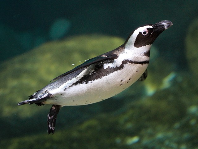 5230397759_d463c01f85_b