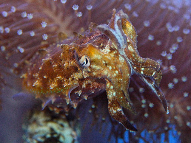 3953684509_d8a7ff53db_b