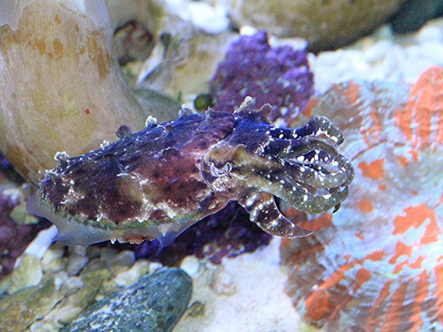 4155077422_fbdca1e012_b