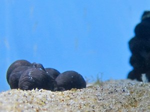 5519039392_2b09a5da70_o