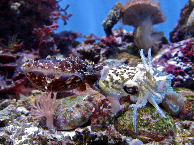 6502617393_a6e58de35b_b