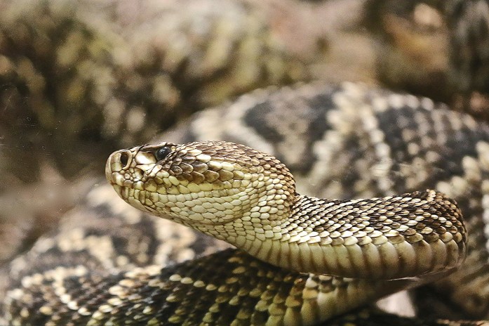 8727976198_ac774801e6_k