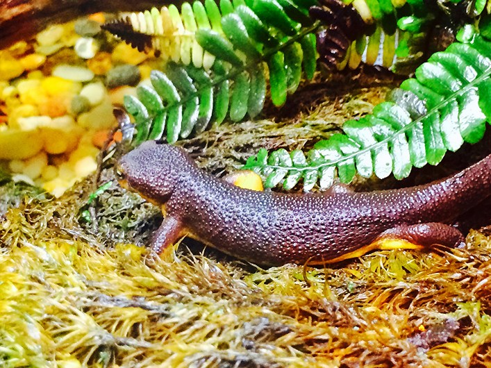 22201795110_791e614f63_k