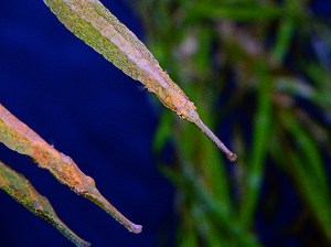 3889153622_43d96aff7f_b