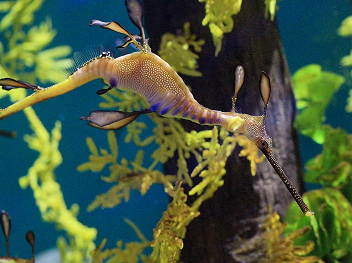 5119453686_669d49f3b7_b