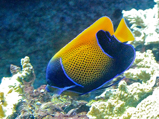 4770698918_d4f3d2a67f_b