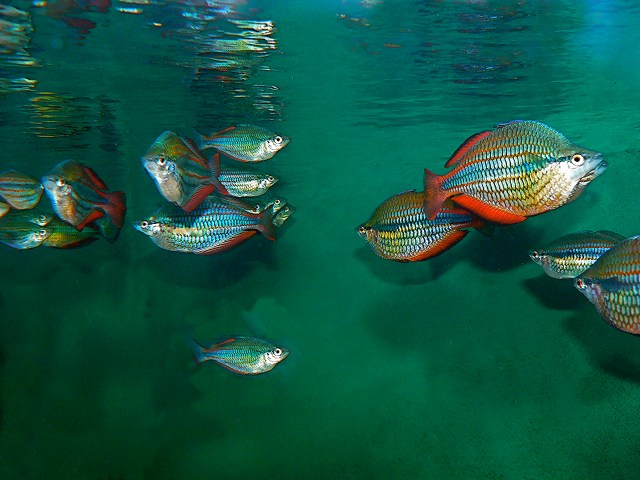 3059546344_bed3615034_o