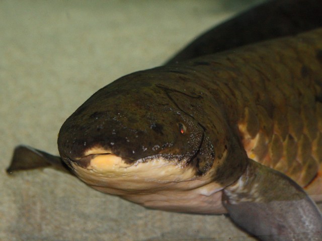 3192737183_3ab00093a7_o