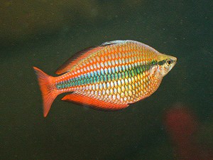 4360153723_b7a50ecda1_o