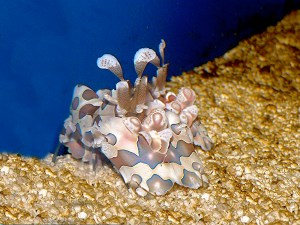 3048541059_e060aaa3b3_o