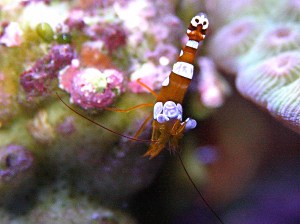 3288692919_9aa8f9db8a_o