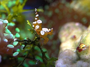 3574925860_fd0f1a8f63_o