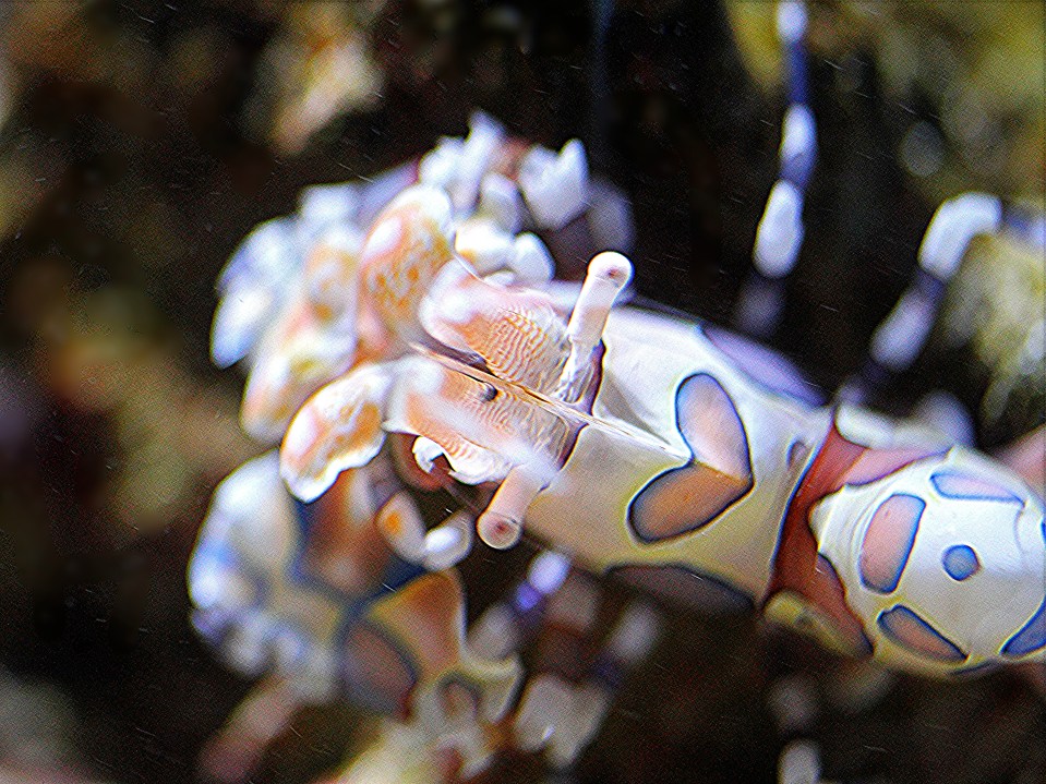 4405902944_fe87f480fe_o