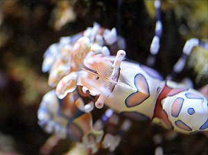 4405902944_fe87f480fe_o